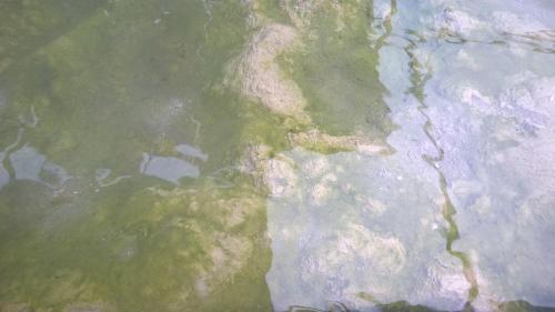 Hotel Terme Belvedere Abano Terme Kültér fotó