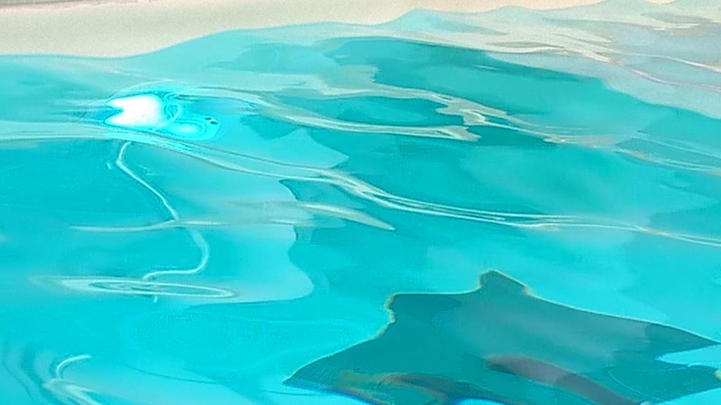 Hotel Terme Belvedere Abano Terme Kültér fotó